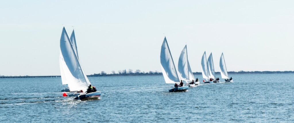 Eight small sailboats racing